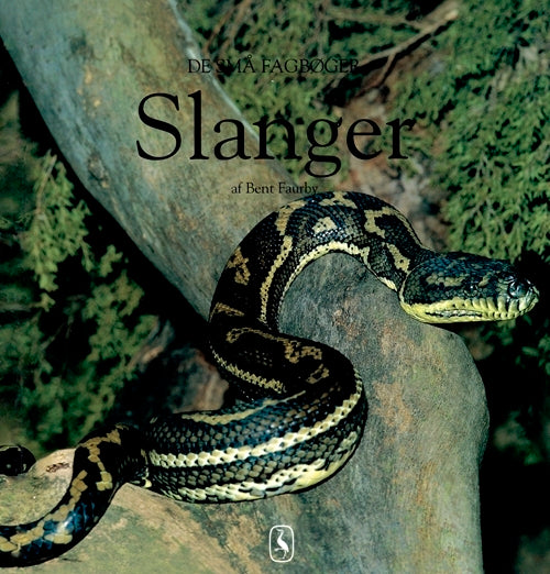 Slanger