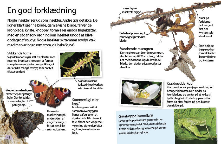 Insekter og edderkopper