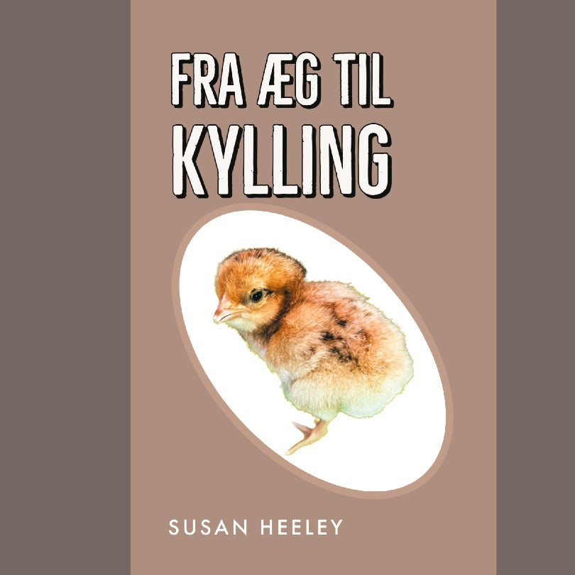 Fra æg til kylling
