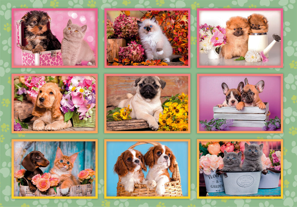 Super Noli Puppies 180 brikker
