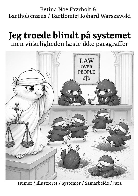 Jeg troede blindt på systemet