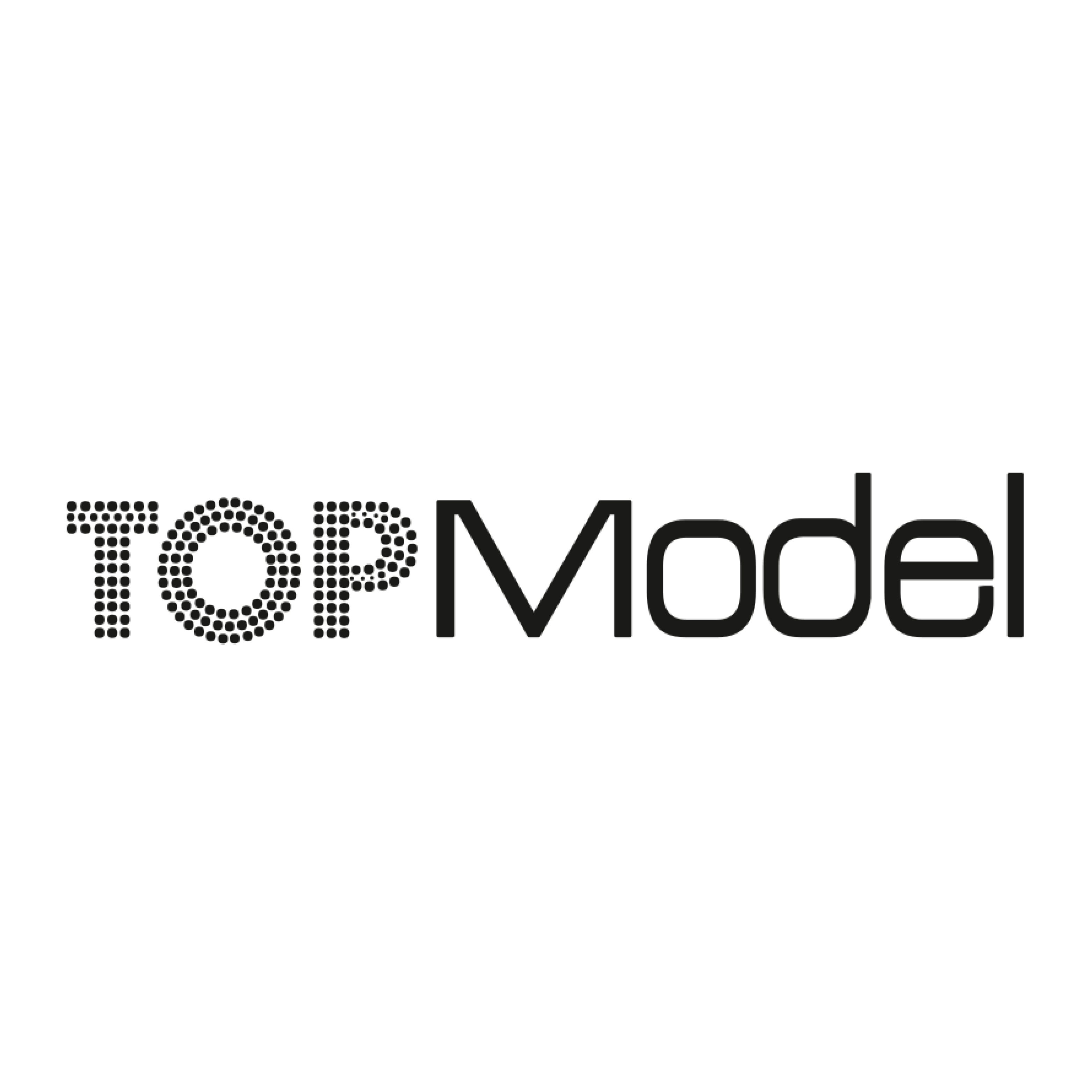 TOPModel