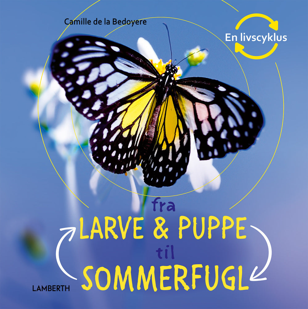 Fra larve og puppe til sommerfugl