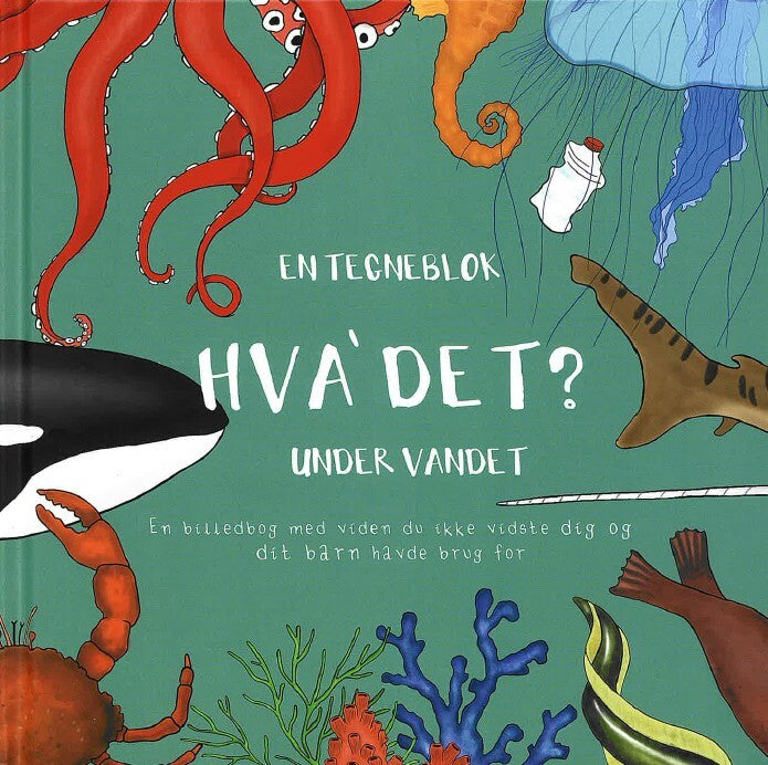 Hva' Det?