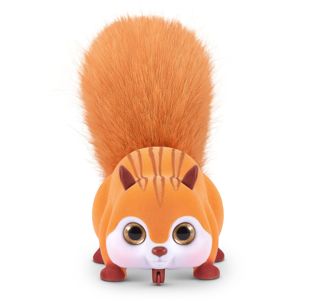 Pets Alive Squirrel ass