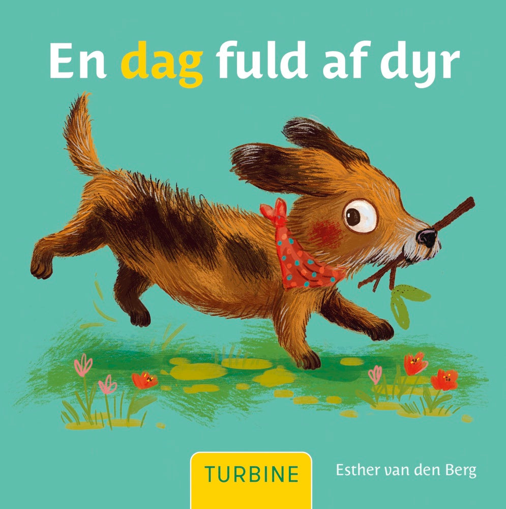 En dag fuld af dyr