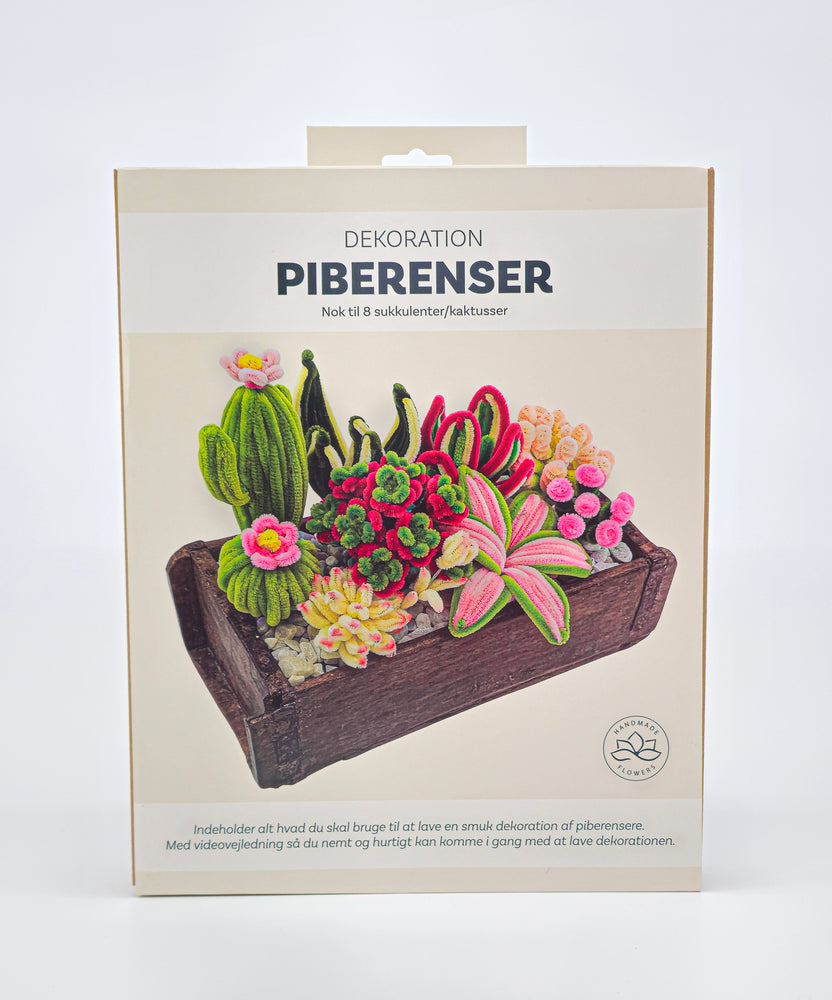 Piberenser planter dekoration kaktus/sukkulent 8 STK